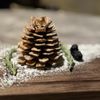 Wolf by Vanderpump at Harveys Lake Tahoe gift card