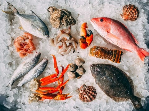 Seafood Restaurants